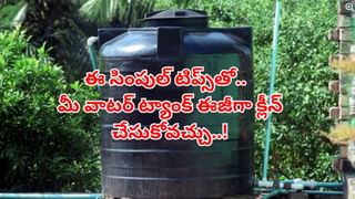 Optical Illusion: మీకో సవాల్.. తాబేళ్ల మధ్యనున్న పామును 10 సెకన్లలో గుర్తిస్తే.. మిమ్మల్ని మించిన తోపులు లేరు..
