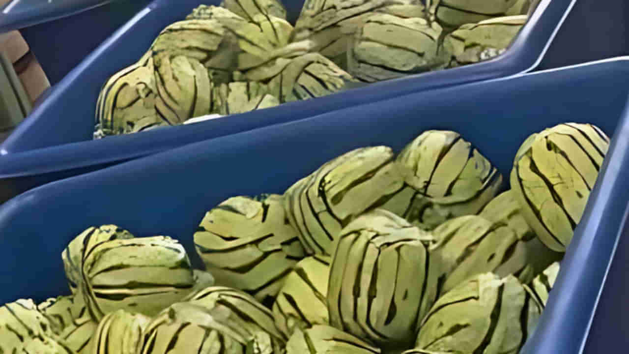 Viral Video: పైకి చూస్తే పుచ్చకాయల లోడ్ లారీ.. అనుమానమొచ్చి లోపలికి వెళ్లి చూడగా