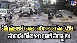 Andhra: చవక.. చవక.. అక్కడ కేజీ చికెన్ రూ.100 మాత్రమే..