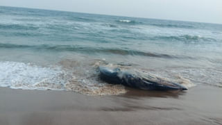 Andhra: నైరుతి బంగాళాఖాతంలో అల్పపీడనం.. ఏపీకి రెయిన్ అలెర్ట్..