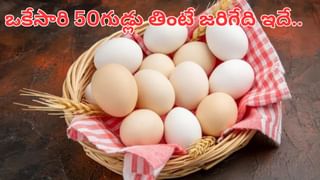 గురిచూసి కొట్టిన ట్రంప్‌ సర్కార్‌.. గ్రీన్‌ కార్డు లాటరీకీ భారతీయులకు నో ఛాన్స్‌!