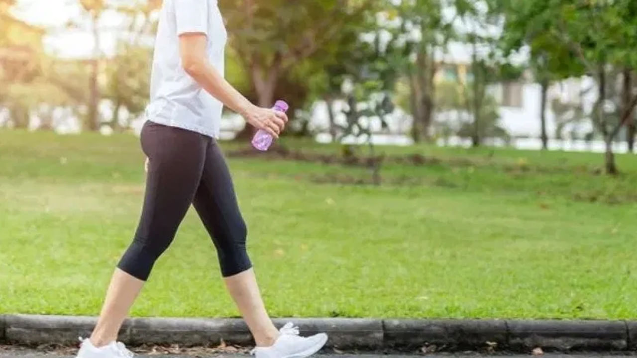 మార్నింగ్ వాక్: మీ రోజును ఆరోగ్యంగా, ఉత్సాహంగా ప్రారంభించాలనుకుంటే మార్నింగ్ వాక్ బెస్ట్ అని చెప్పొచ్చు. ఇది మీ జీవక్రియను వేగవంతం చేయడంతో పాటు రోజంతా చురుకుగా ఉండేలా చేస్తుంది. అంతేకాకుండా మానసిక స్థితిని మెరుగుపరుస్తుంది. ఉదయం టైమ్ సెట్ చేసుకుంటే, రోజూ కచ్చితంగా నడవడానికి అలవాటు పడతారు.