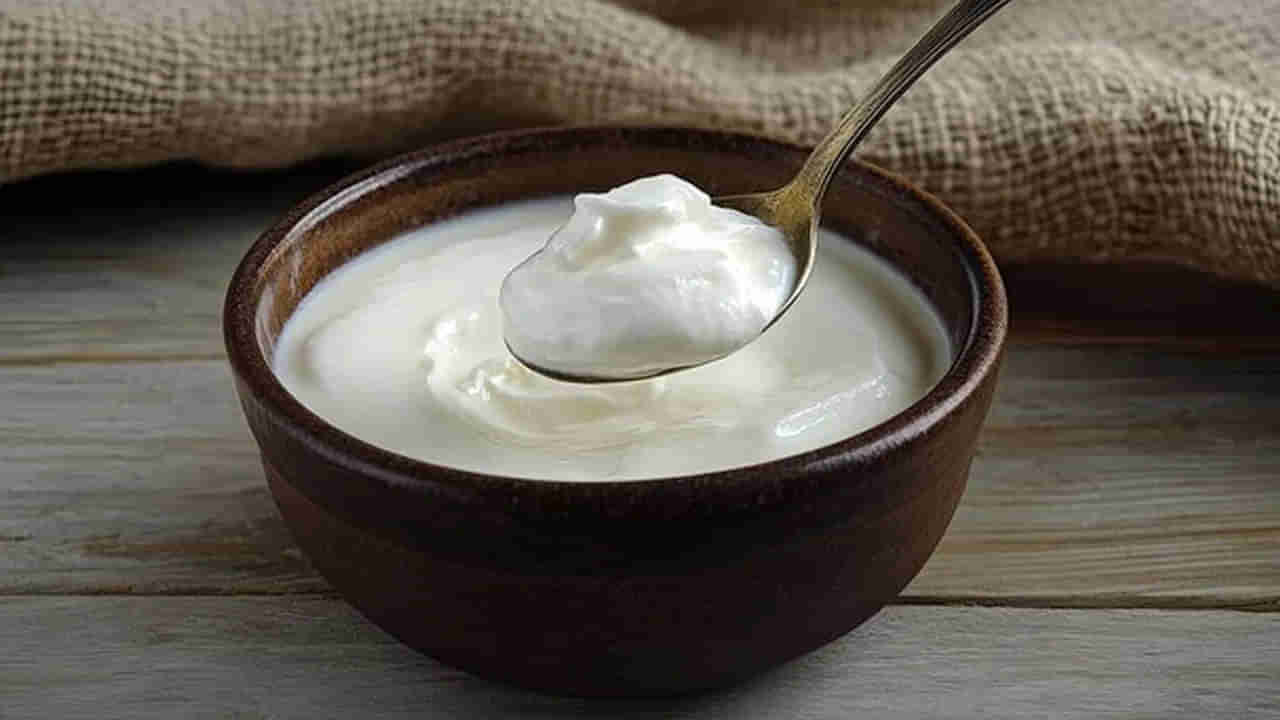 Curd: పెరుగు తినడానికి ఏది బెస్ట్ టైమ్..? తప్పక తెలుసుకోండి.. లేకపోతే..