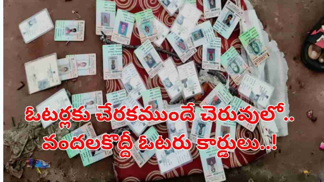 ఓటర్లకు చేరకముందే చెరువులో వందలకొద్దీ ఓటరు కార్డులు..! బాధ్యులు ఎవరు..?