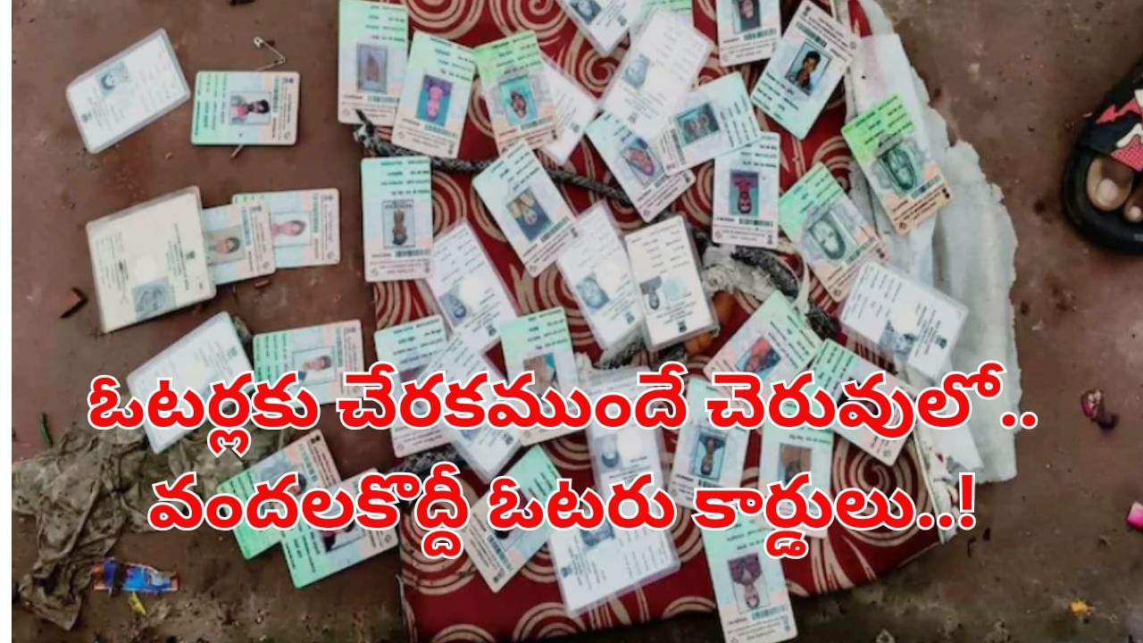 ఓటర్లకు చేరకముందే చెరువులో వందలకొద్దీ ఓటరు కార్డులు..! బాధ్యులు ఎవరు..?