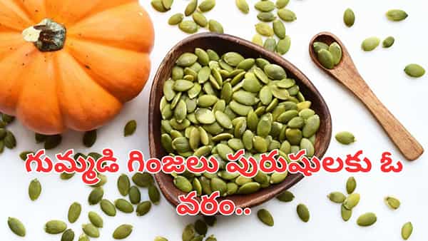 Pumpkin Seeds Benefits : గుమ్మడి గింజలు పురుషులకు ఓ వరం.. కచ్చితంగా తినండి..! లాభాలు తెలిస్తే..