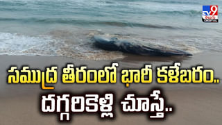 గత అమావాస్యకు క్షుద్రపూజలు.. ఈ అమావాస్యకు షాపు దగ్ధం