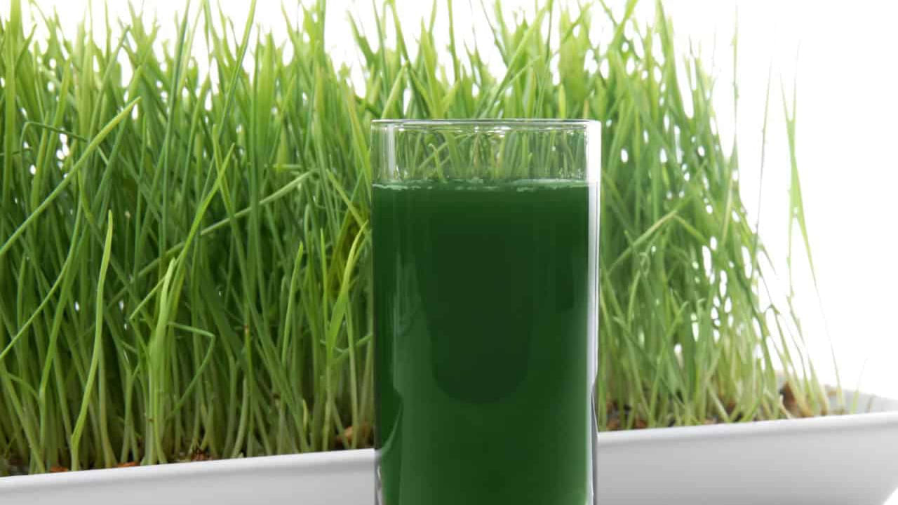 ఈ రోజుల్లో చాలా మంది మహిళలు పీరియడ్స్ విషయంలో అనేక సమస్యలు ఎదుర్కొంటున్నారు. ముఖ్యంగా పీసీఓడీ, పీసీఓఎస్ వంటి సమస్యలతో సతమతం అవుతున్నారు. అయితే ఇలాంటి వాటితో బాధపడే వారు ప్రత రోజూ గోధుమ గడ్డి జ్యూస్ తాగడం వలన ఇది హర్మోన్స్ నియంత్రణలో ఉంచి, పీరియడ్స్ సమస్యలను తగ్గిస్తుదంట.