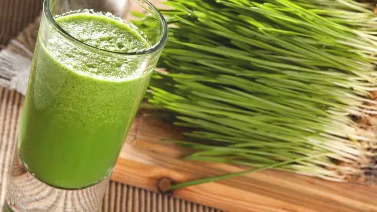 ముఖ్యంగా గోధుమ గడ్డి జ్యూస్ డయాబెటీస్తో బాధపడే వారికి వరం అని చెప్పాలి. ఎందుకంటే, డయాబెటీస్ సమస్యతో బాధపడే వారు ప్రతి రోజూ క్రమం తప్పకుండా, గోధుమగడ్డి జ్యూస్ తాగడం వలన ఇది రక్తంలోని చక్కెర స్థాయిలను తగ్గించి, ఇన్సులిన్ ఉత్పత్తిని పెంచుతుందంట.