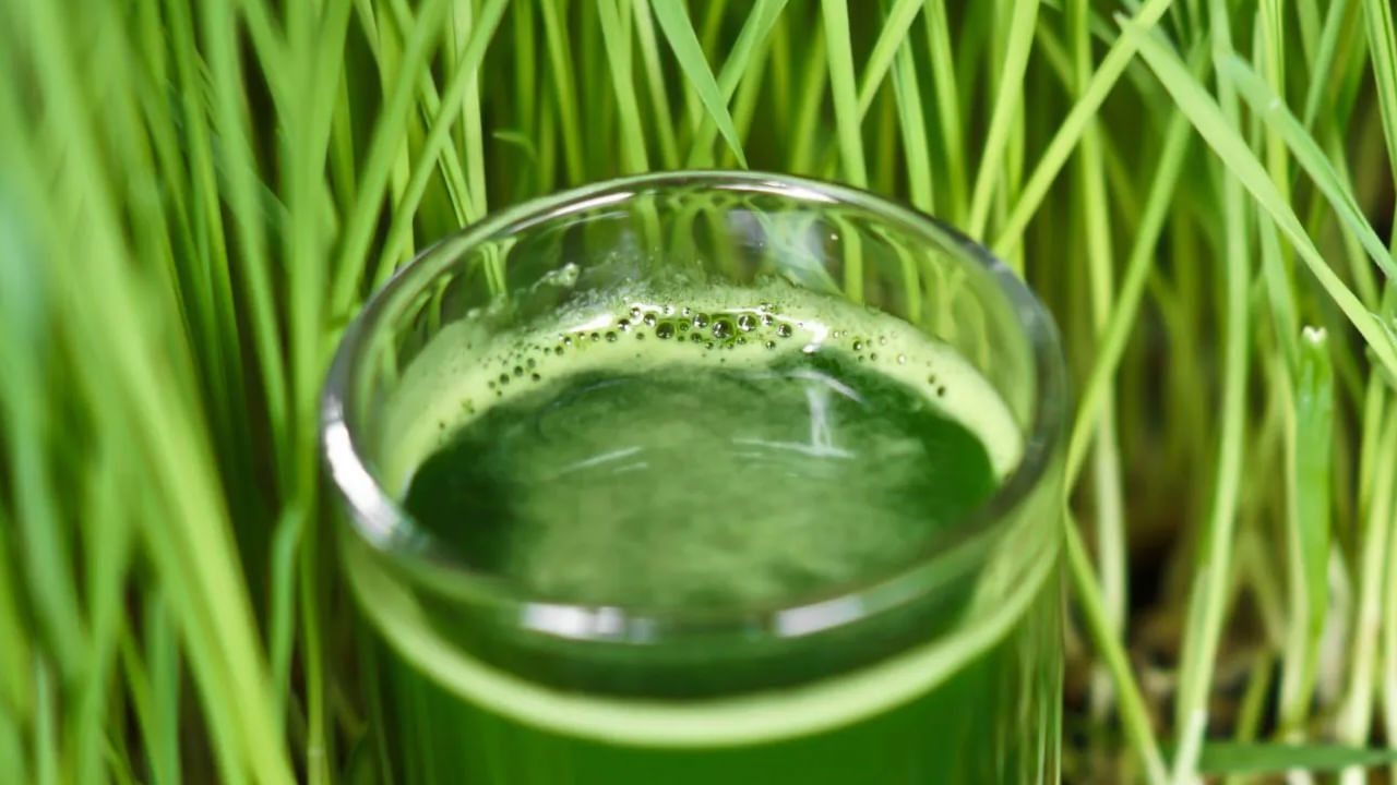 ప్రస్తుతం చాలా మంది అనేక వ్యాధుల బారినపడి ఇబ్బందులు కొనితెచ్చుకుంటున్నారు. తీసుకుంటున్న ఆహారం జీవనశైలి కారణంగా, అనే వ్యాధులు అటాక్ చేస్తున్నాయి. దీంతో జీర్ణ సంబంధ సమస్యలు, శ్వాస సమస్యలు, రక్త సంబంధ వ్యాధులతో బాధపడుతుంటారు. అయితే అన్ని రకాల వ్యాధులకు ఇది దివ్యౌషధం అంట. ఇంతకీ అది ఏమిటో ఇప్పుడుచూద్దాం.