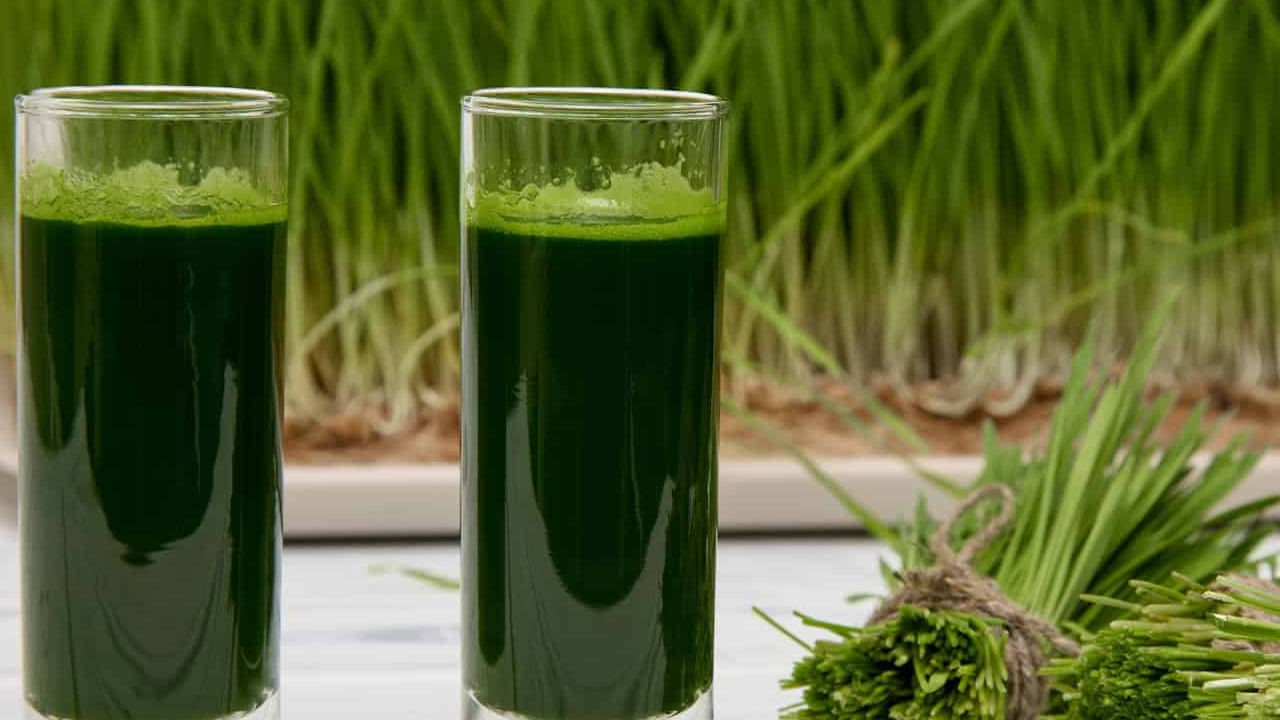 చాలా మంద ఇది వట్టి గడ్డి అని దానిని పట్టించుకోరు. కానీ అదే మీ ఆరోగ్యాన్ని కాపాడుతుందంట. ఇంతకీ అది ఏమిటంటే. గోధుమ గడ్డీప్రతి ఒక్కరికీ తెలిసిందే, ఇందులో అనేక ఔషధాలు ఉండటం వలన ఇది అనేక ఆరోగ్య ప్రయనాలనిస్తుంది. కాగా, ప్రతి రోజూ దీనిని తాగడం వలన ఎలాంటి ప్రయోజనాలు ఉన్నాయో ఇప్పుడు మనం చూద్దాం.