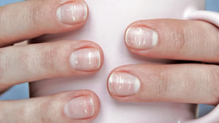 ఈ 5 వస్తువులు ఉత్తరాన ఉంటే.. మీ ఇల్లు అక్షయ పాత్ర అయినట్టే.. డబ్బే డబ్బు..