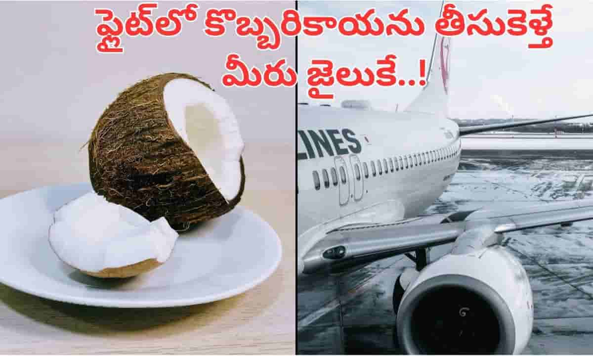 Flight: విమానంలో కొబ్బరికాయను తీసుకెళ్తున్నారా..? మీరు జైలుకెళ్లడం ఖాయం జాగ్రత్త..
