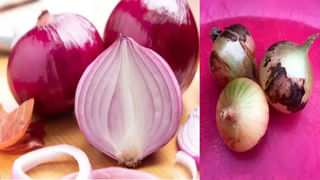 ఇలా స్టోర్ చేసారంటే.. పచ్చిమిర్చి నెల రోజుల పాటు తాజాగా..