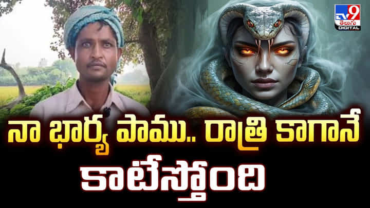 నా భార్య పాము.. రాత్రి కాగానే కాటేస్తోంది నా భార్య పాము.. రాత్రి కాగానే కాటేస్తోంది