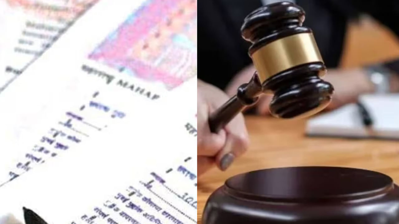 ఒక వ్యక్తి స్వయంగా వీలునామా రాయగలిగినప్పటికీ, న్యాయ నిపుణులు వృత్తిపరమైన సహాయం తీసుకోవాలని సలహా ఇస్తారు. న్యాయవాదులు వీలునామా స్పష్టంగా ఉందని, చట్టపరమైన లాంఛనాలకు అనుగుణంగా ఉందని, లొసుగులు లేకుండా మీ ఉద్దేశాన్ని ప్రతిబింబిస్తుందని నిర్ధారిస్తారు. ఉమ్మడి కుటుంబాలు, మిశ్రమ కుటుంబాలు లేదా వ్యాపార యాజమాన్యం వంటి సంక్లిష్ట పరిస్థితులలో కూడా ప్రొఫెషనల్ డ్రాఫ్టింగ్ సహాయపడుతుంది. వీలునామా అనేది కేవలం చట్టపరమైన అవసరం మాత్రమే కాదు, ఒకరి కుటుంబం పట్ల బాధ్యతాయుతమైన చర్య అని ఇద్దరు నిపుణులు అంగీకరిస్తున్నారు. 