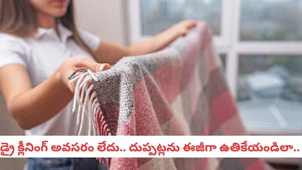 Winter Care: చలికాలం వచ్చేసింది.. దుప్పట్లు, రగ్గులను ఇంట్లోనే కొత్తగా మెరిపించే టెక్నిక్స్!