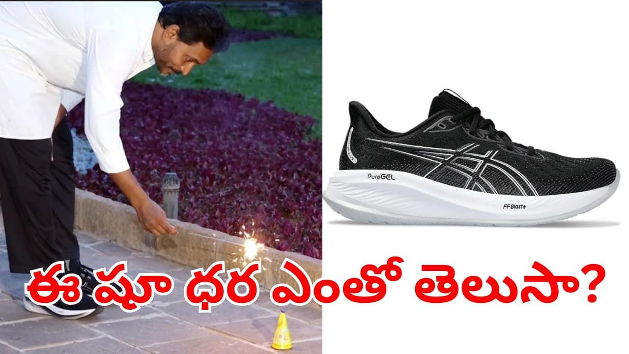YS Jagan: దీపావళి రోజున మాజీ సీఎం జగన్ ధరించిన ఈ షూ ధర ఎంతో తెలుసా?