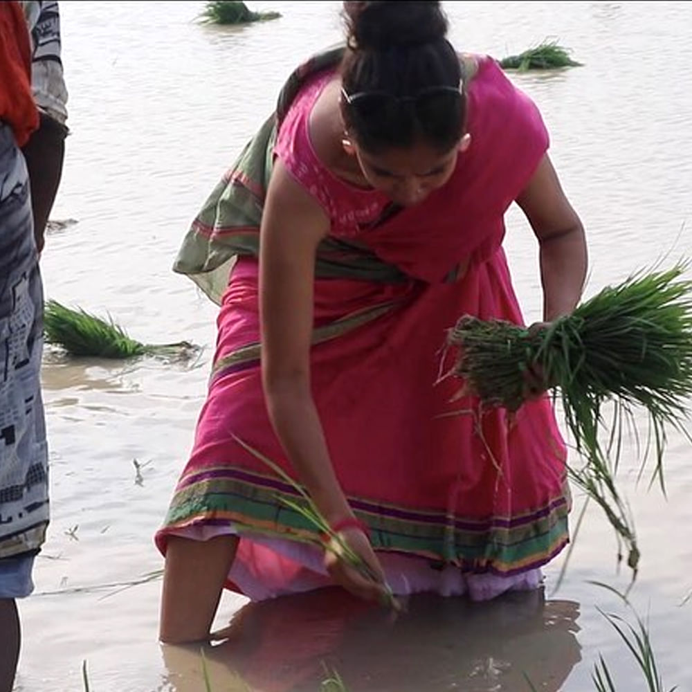 మానసిక వైద్యుడితో మాట్లాడి ముంబై వదిలి తన గ్రామంలో స్థిరపడాలని నిర్ణయించుకుంది. అక్కడ ఆమె గ్రామస్తులతో కలిసి వ్యవసాయం చేయడం ప్రారంభించింది. ఆమె గ్రామంలో నివసిస్తోంది. సోషల్ మీడియాలో ఆమె షేర్ చేసే ఫోటోలు సోషల్ మీడియాలో వైరల్ గా మారాయి. 