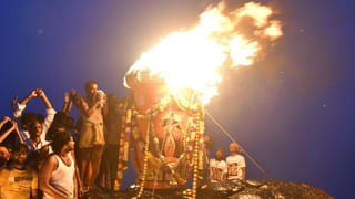 ఈ మొక్కను ఇంట్లో పెట్టుకున్నారంటే సంపదకు లోటు లేదు..డబ్బే డబ్బు..!