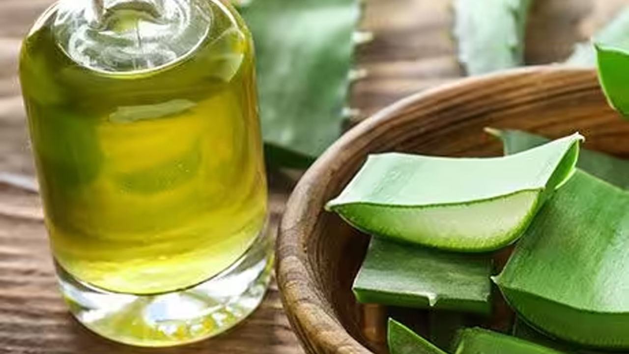 Aleo Vera And Olive Oil