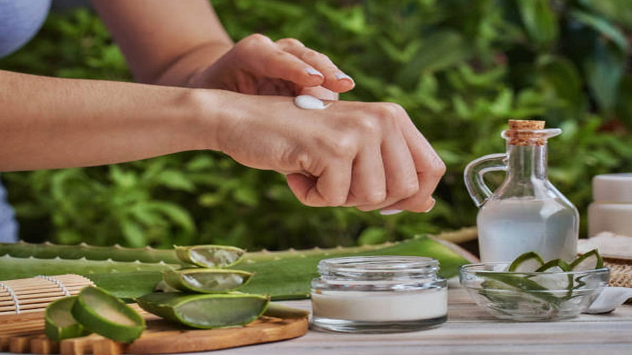 కలబంద రసం సహజ భేదిమందు లక్షణాలను కలిగి ఉంటుంది, ఇది శరీరం నుండి అదనపు నీటిని తొలగించి నిర్జలీకరణానికి దారితీస్తుంది. ముఖంపై మెరుపు కోసం తరచుగా కలబందను ఉపయోగిస్తారు. దీని వల్ల చర్మానికి చాలా ప్రయోజనాలు ఉన్నాయి. కానీ, మీరు అధిక పరిమాణంలో కలబందను ఉపయోగిస్తే, అది హానికరంగా మారే అవకాశం ఉంది. ఈ కారణంగా సమస్యలను ఎదుర్కోవలసి ఉంటుంది.