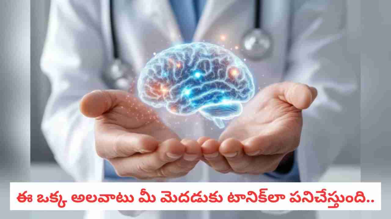 Brain Health: ఆ ఒక్క ప్రొటీన్ను తగ్గిస్తే చాలు మీ మెదడు సేఫ్! కొత్త అధ్యయనంలో షాకింగ్ రిజల్ట్..