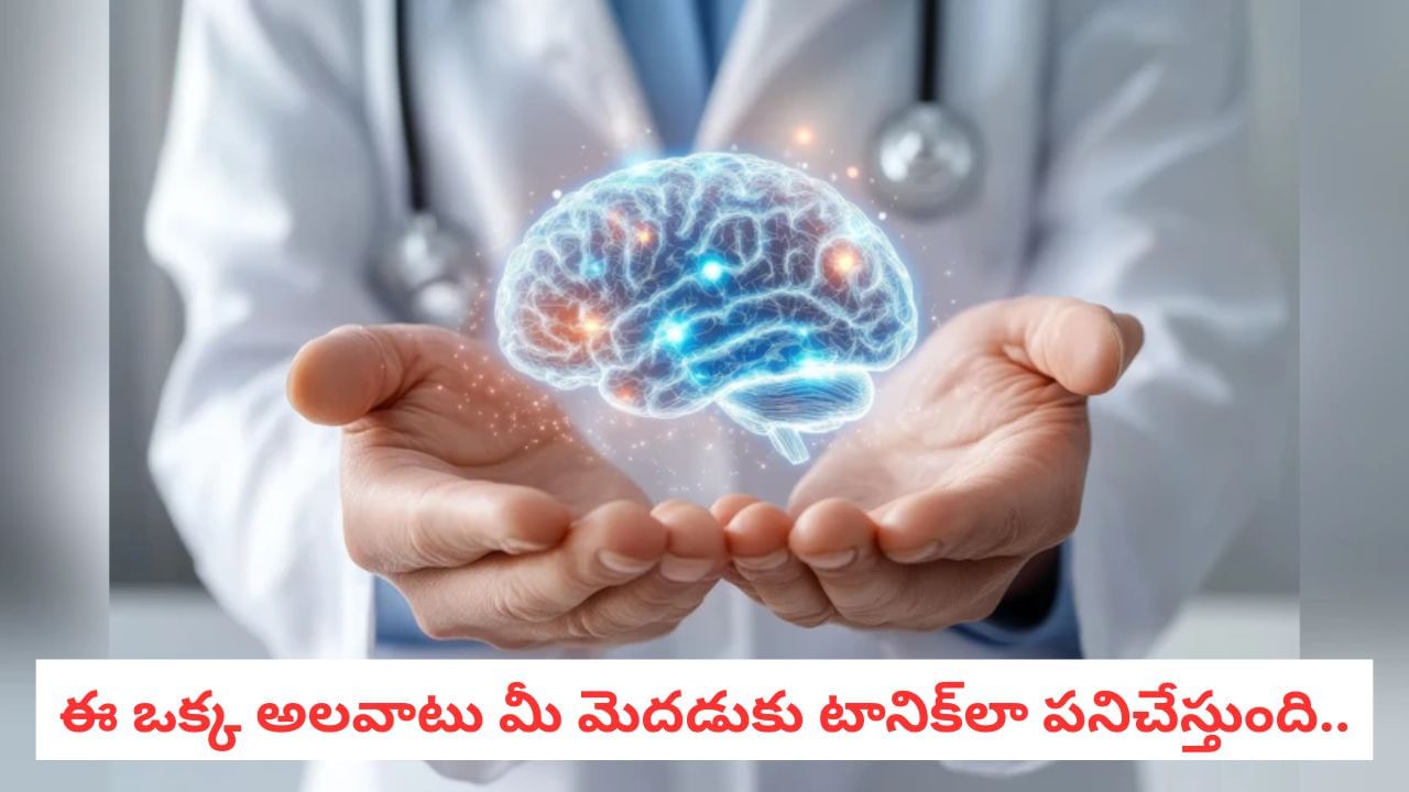 Brain Health: ఆ ఒక్క ప్రొటీన్‌ను తగ్గిస్తే చాలు మీ మెదడు సేఫ్! కొత్త అధ్యయనంలో షాకింగ్ రిజల్ట్..