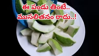 Chicken Pakodi: వర్షం పడుతోందా? 5 నిమిషాల్లో కరకరలాడే చికెన్ పకోడీ ఇలా చేయండి..