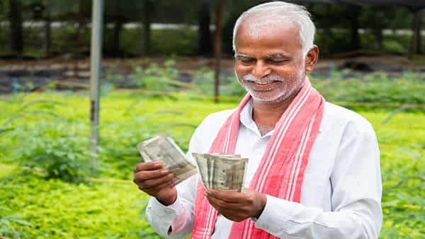 Business Idea: ఈ పంట వేస్తే ఏడాది అంతా మీ పంట పండినట్లే.. 30 ఏళ్ల పాటు లక్షల్లో ఆదాయం!