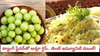 Mettelu: పెళ్లైన స్త్రీల పాదాలకు మెట్టెలు ఎందుకు తొడుగుతారో తెలుసా?