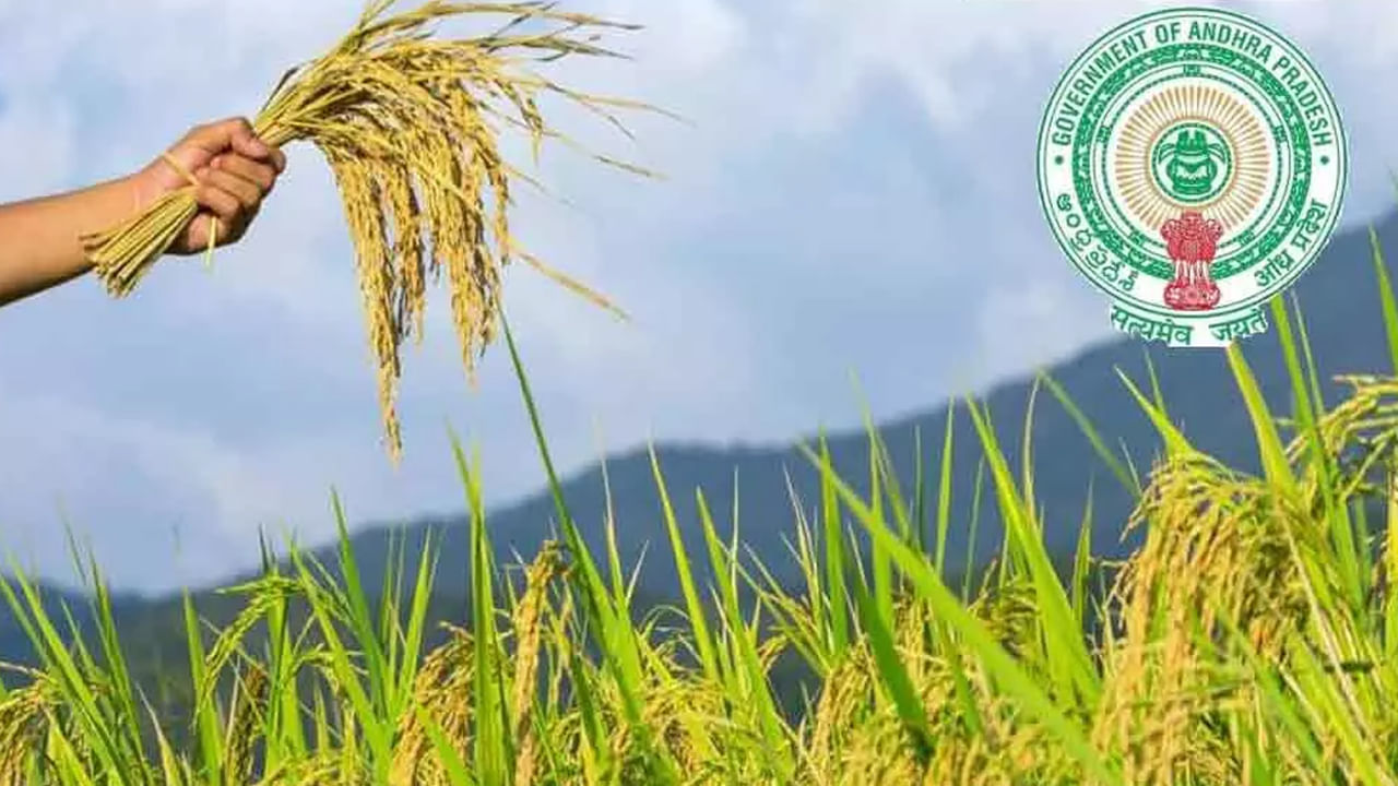 Andhra: ఏపీ రైతులకు గుడ్ న్యూస్.. ఆ రోజున ఒక్కొక్కరి ఖాతాలో రూ. 7 వేలు