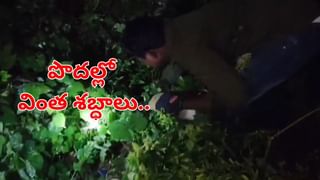 Weather Alert: తెలుగు రాష్ట్రాల్లో వచ్చే 3 రోజులు వాతావరణం ఎలా ఉంటుంది..? ఇదిగో లేటెస్ట్ వెదర్ రిపోర్ట్..