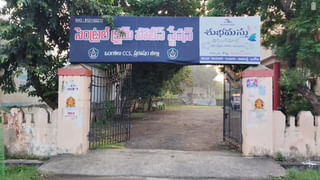 బంగారమే కాదు నేనేం తక్కువ కాదంటున్న టమాటా.. 15 రోజుల్లోనే 50 శాతం పెరిగిన ధర..