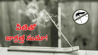 Andhra News: వీటితో జాగ్రత్త.. దోమలవే కాదు.. మీ ప్రాణాలు కూడా పోవచ్చు..! ఎందుకంటే?