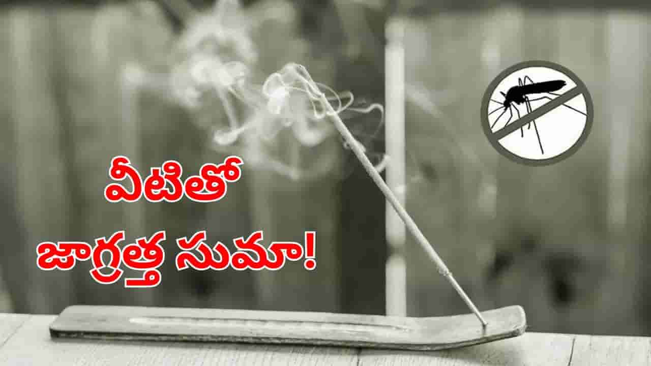 Andhra News: వీటితో జాగ్రత్త.. దోమలవే కాదు.. మీ ప్రాణాలు కూడా పోవచ్చు..! ఎందుకంటే?