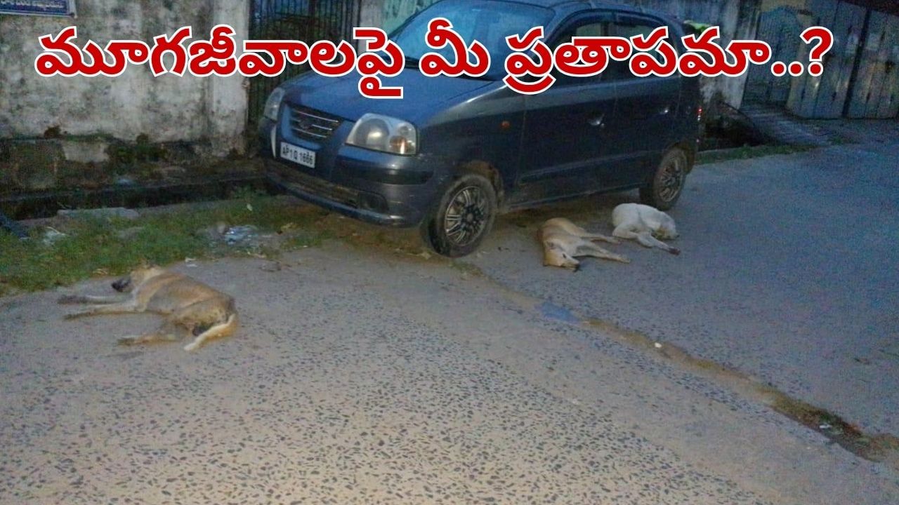 Telangana: మీరేం మనుషులురా.. మూగజీవాలకు విషం పెట్టి.. దారుణంగా..