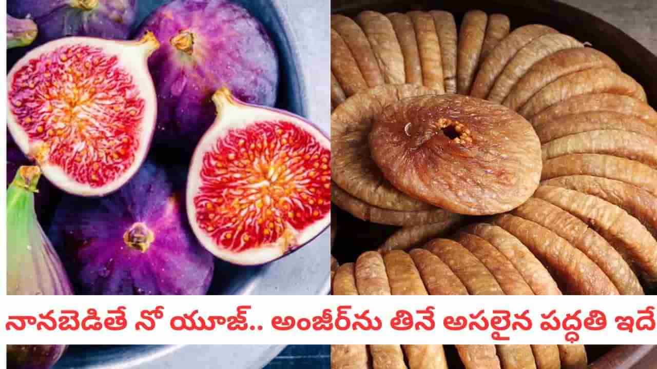 Anjeer Benefits: కొలెస్ట్రాల్, గుండె సమస్య మాయం.. అంజీర్ ఇలా తింటే 100% బెనిఫిట్ పక్కా