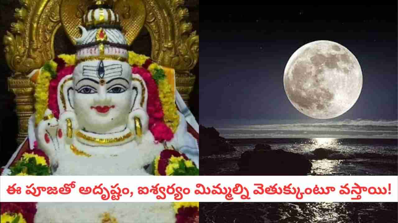 Karthika Pournami: ఈ పౌర్ణమి ప్రత్యేకం.. శివలింగానికి అన్నాభిషేకం ఎందుకు చేయాలో తెలుసా?