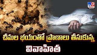 ఈజిప్టు మమ్మీల శాపం నిజమైందా
