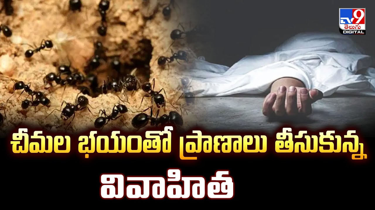 చీమల భయంతో ప్రాణాలు తీసుకున్న మహిళ