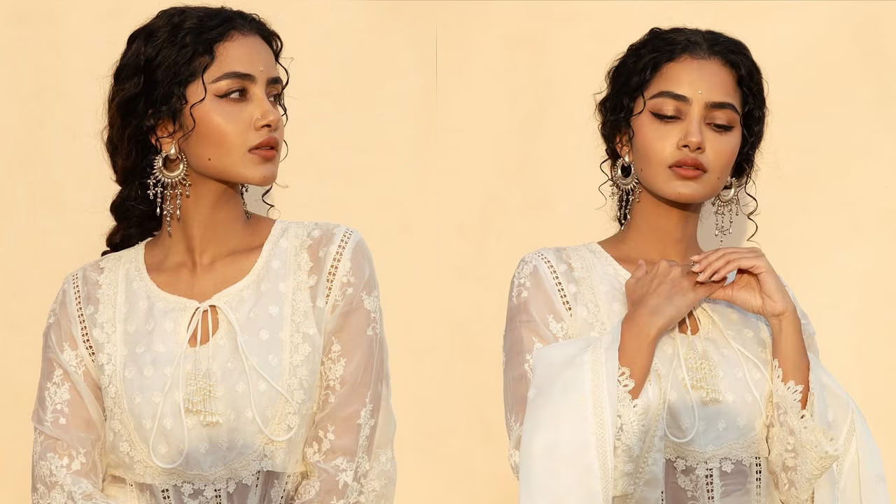 అనుపమ పరమేశ్వరన్ గురించి ఎంత చెప్పినా తక్కువే. ఈ బ్యూటీ అందానికి ఎవ్వరైనా ఫిదా అవ్వాల్సిందే. ప్రేమమ్ మూవీతో  చిత్ర పరిశ్రమలోకి ఎంట్రీ ఇచ్చిన ఈ బ్యూటీ, ఈ సినిమా తర్వాత వరసగా అవకాశాలు అందుకొని, తన నటనతో ప్రతి ఒక్కరి మనసు దోచేసుకుంది.