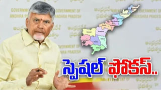 Andhra Pradesh: కొత్త జిల్లాల ఏర్పాటు అంశంపై సీఎం చంద్రబాబు కీలక ఆదేశాలు.. మరోసారి..