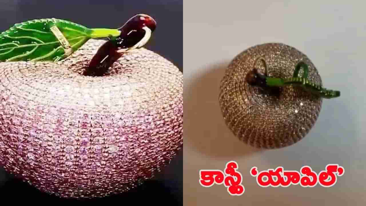 ఓరి దేవుడా! యాపిల్ 10 లచ్చలా.. తినాలా బిరువాలో పెట్టుకోవాలా...?