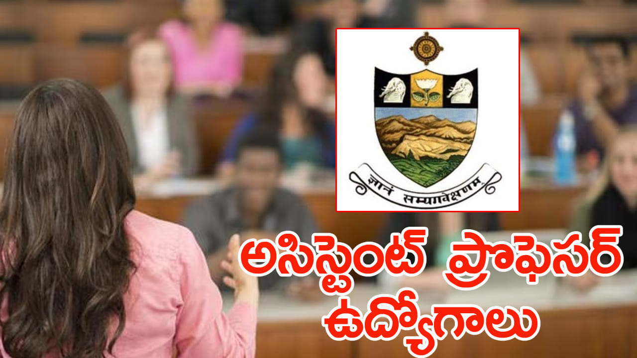 శ్రీ వెంకటేశ్వర వర్సిటీలో ఖాళీగా అసిస్టెంట్‌ ఫ్రొఫెసర్‌ ఉద్యోగాలు.. తప్పని ఎదురు చూపులు!