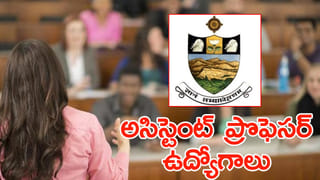 వాలు జడలా వయ్యారంగా ఉన్న ఈ మొక్కను చూశారా?.. దీని ప్రత్యేకత ఏంటో తెలుసా?