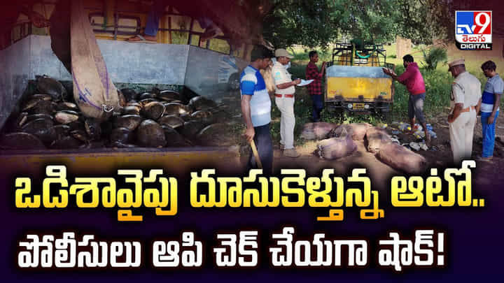 ఒడిశావైపు దూసుకెళ్తున్న ఆటో.. పోలీసులు ఆపి చెక్ చేయగా షాక్ ఒడిశావైపు దూసుకెళ్తున్న ఆటో.. పోలీసులు ఆపి చెక్ చేయగా షాక్