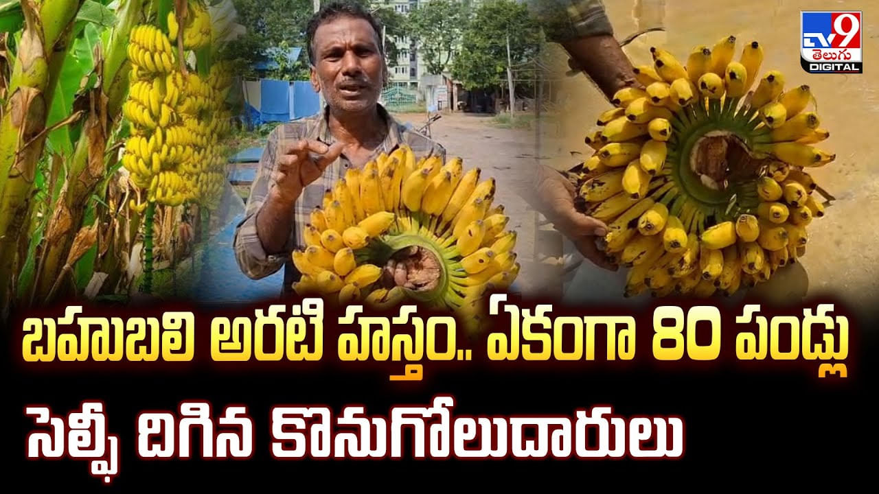 బహుబలి అరటి హస్తం..ఏకంగా 80 పండ్లు.. సెల్ఫీ దిగిన కొనుగోలుదారులు