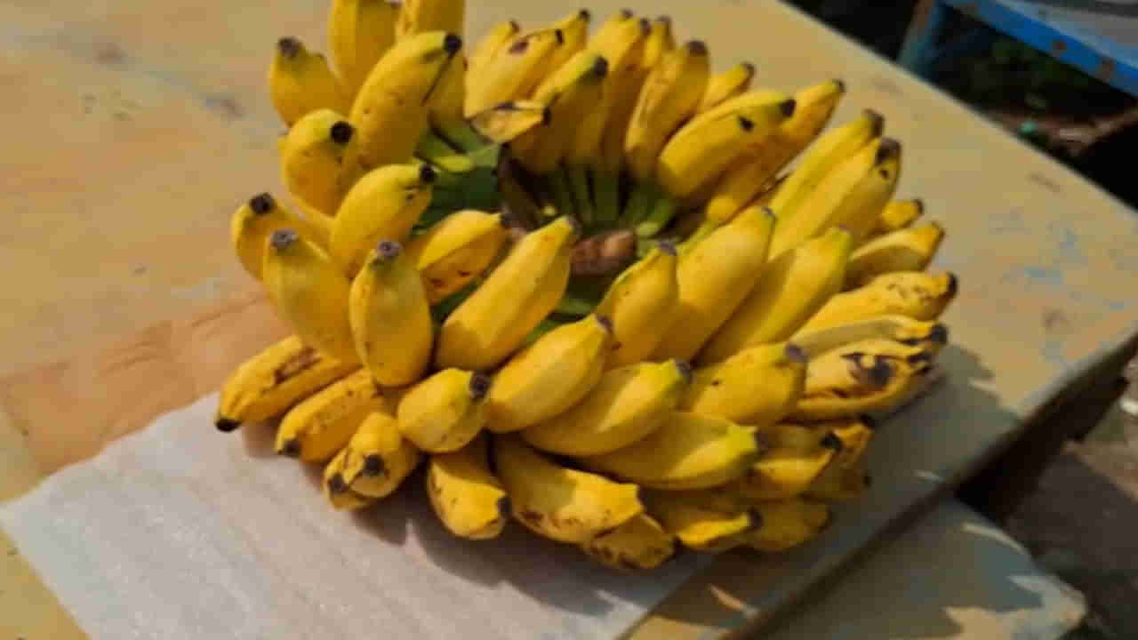 Tanuku: అయ బాబోయ్.. చూశారా ఈ చిత్రం.. హస్తానికి 80 పళ్లు