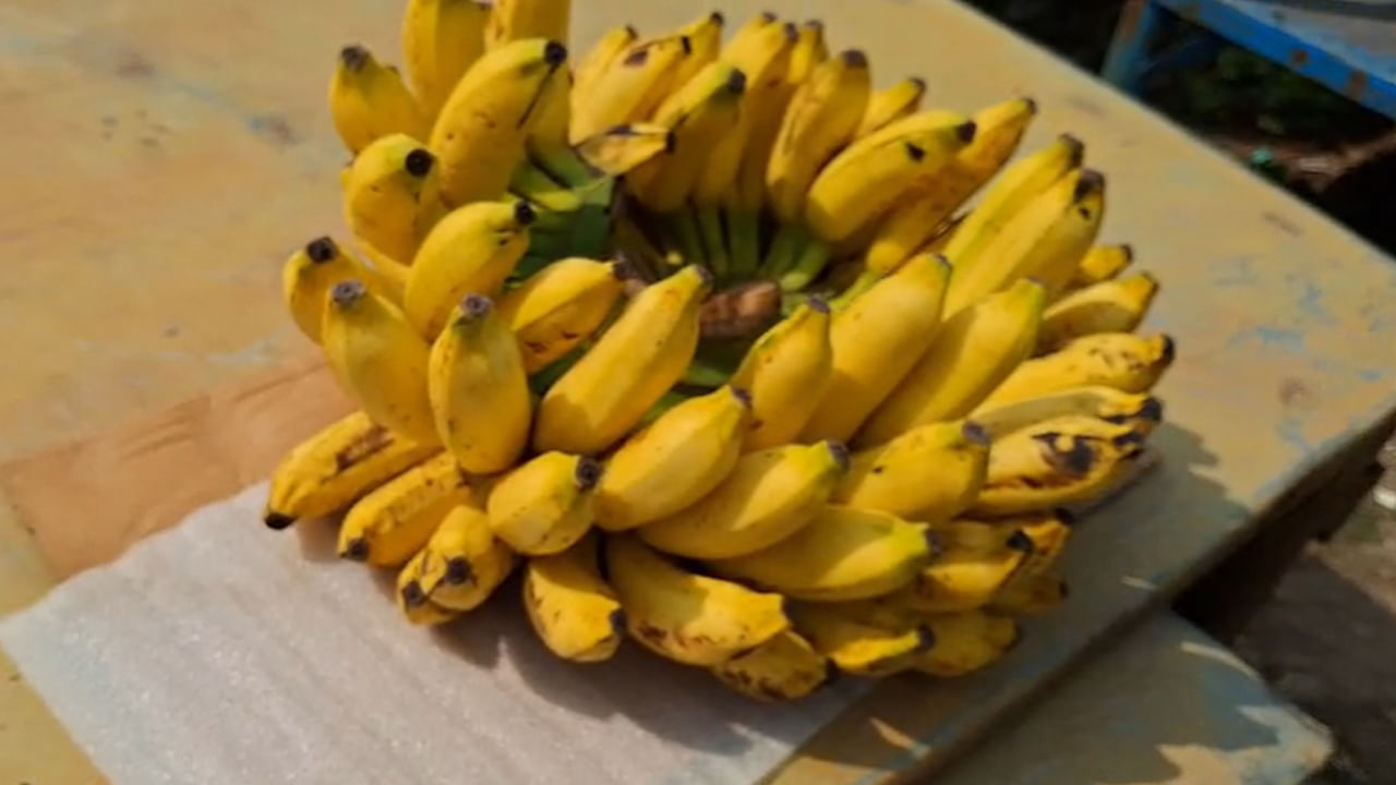 Tanuku: అయ బాబోయ్.. చూశారా ఈ చిత్రం.. హస్తానికి 80 పళ్లు